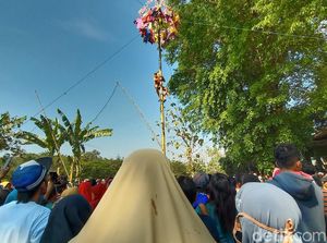 Abaikan Kondisi Pandemi, Warga Malah Bikin Lomba Panjat Pinang Waria