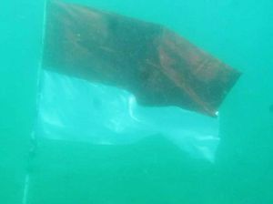 TNI Gelar Upacara HUT RI Ke-75 di Bawah Laut Lhokseumawe Aceh TNI Gelar Upacara HUT RI Ke-75 di Bawah Laut Lhokseumawe Aceh