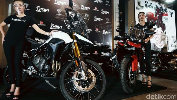 Tampang 5 Motor Triumph yang Mengaspal di RI, Paling Mahal Rp 750 Juta