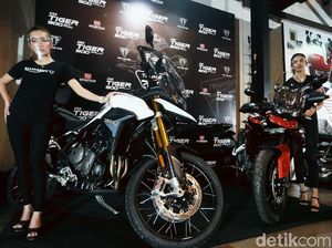 Tampang 5 Motor Triumph yang Mengaspal di RI, Paling Mahal Rp 750 Juta