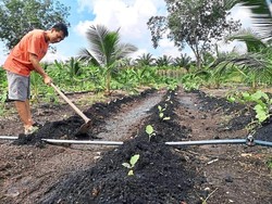 Bosan Jadi Pegawai Bank, Pria Ini Pilih Jadi Petani dan Peternak