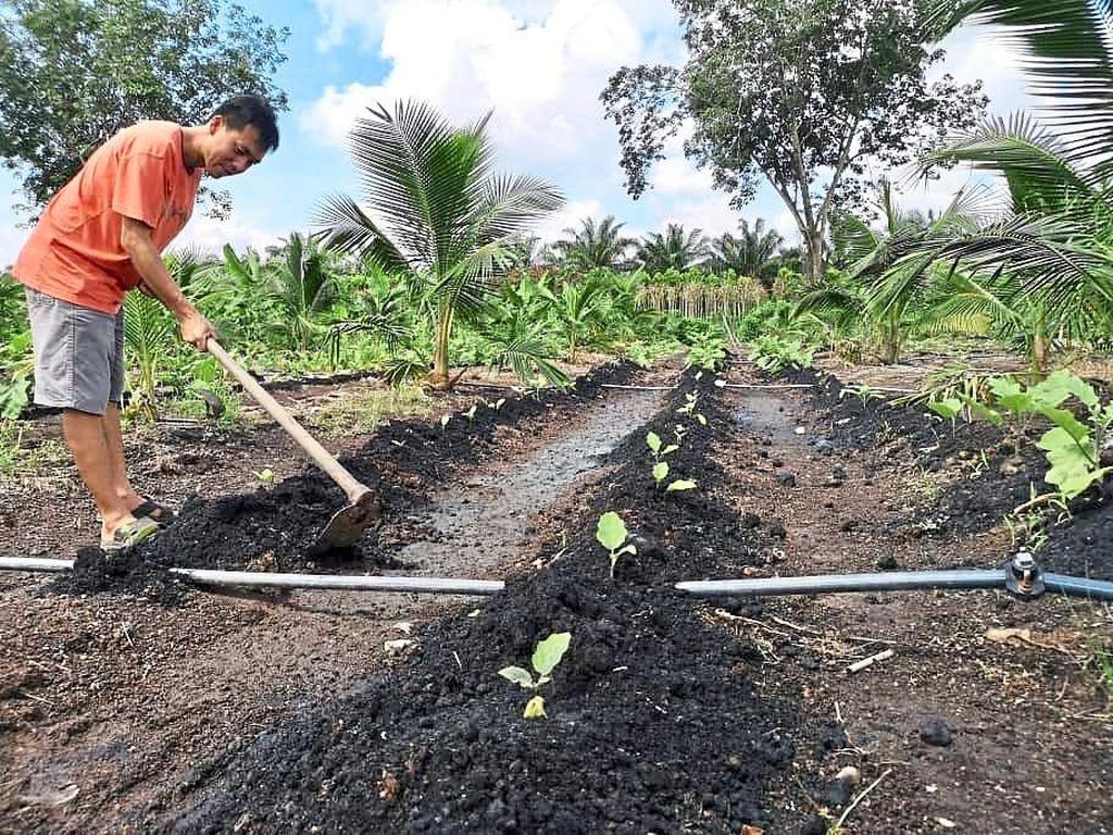 Bosan Jadi Pegawai Bank, Pria Ini Pilih Jadi Petani dan Peternak Bosan Jadi Pegawai Bank, Pria Ini Pilih Jadi Petani dan Peternak