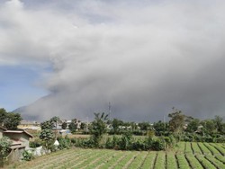 Gunung Sinabung Erupsi Menerus Pagi Ini, Kolom Abu Capai 1.000 Meter