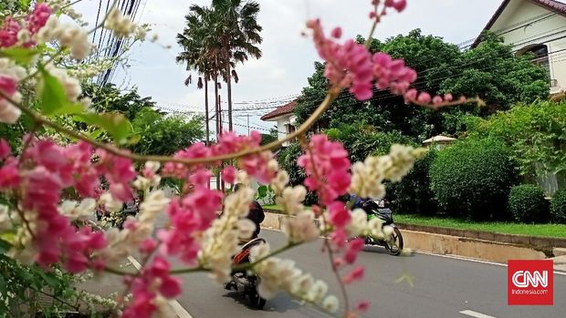 Hasil foto Realme C3 Hasil foto Realme C3