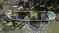 Jambu Bji Penuhi Pasar Apung Bangladesh Saat Musim Panen