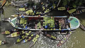 Jambu Bji Penuhi Pasar Apung Bangladesh Saat Musim Panen