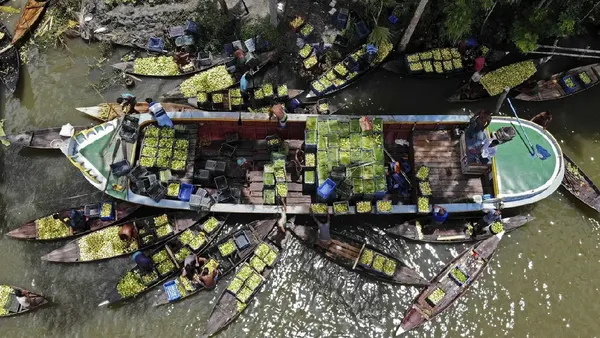 Jambu Bji Penuhi Pasar Apung Bangladesh Saat Musim Panen