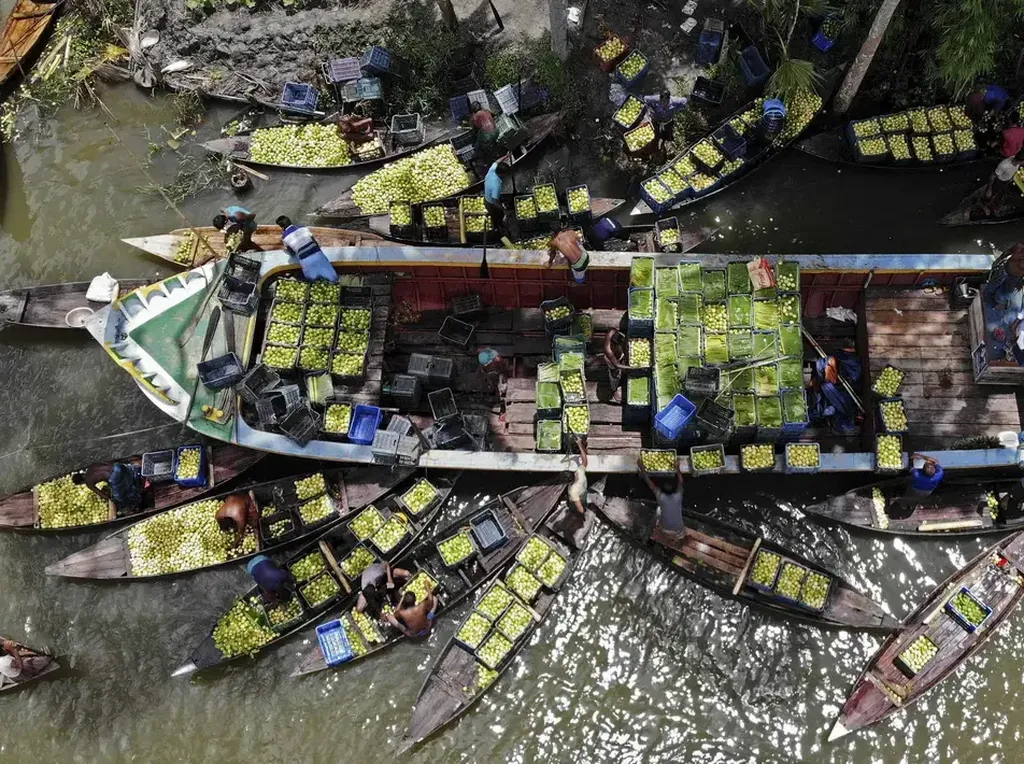 Jambu Bji Penuhi Pasar Apung Bangladesh Saat Musim Panen