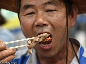 Kim Jong Un Perintahkan Tangkapi Anjing Peliharaan Untuk Atasi Krisis Pangan