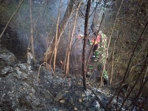 15 Hektare Lahan di Gunung Ciremai Kuningan Hangus Terbakar 15 Hektare Lahan di Gunung Ciremai Kuningan Hangus Terbakar