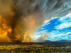 Resmi! Badan Cuaca PBB Nyatakan Suhu 2023 Rekor Terpanas Sejak 1850