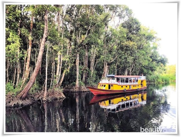 Taman Nasioan Tanjung Puting, Kalimantan