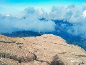 Rekomendasi Wisata Alam di Timor Tengah Selatan