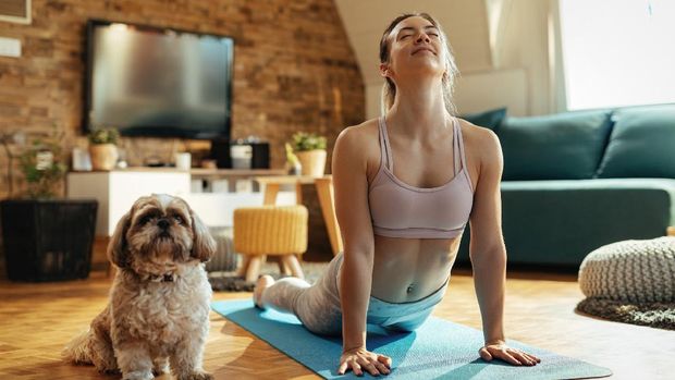 hewan peliharaan Young athletic woman in cobra pose practicing Yoga with her dog at home.