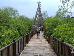 Hutan Mangrove Wonorejo, Sudut Adem di Surabaya