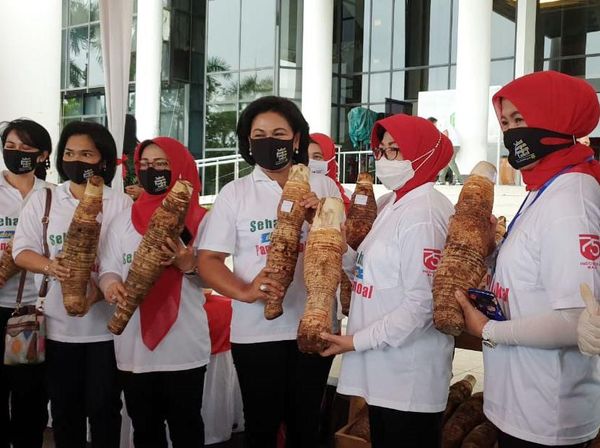 Kampanye Diversifikasi Pangan Lokal