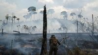 Foto-foto Kerusakan Hutan Amazon Akibat Kebakaran