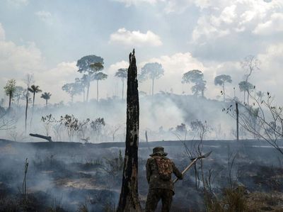 Foto-foto Kerusakan Hutan Amazon Akibat Kebakaran