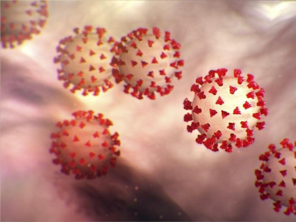 Ilmuwan Sebut Virus Corona Bisa Menginfeksi Usus Meski Negatif di Pernapasan Ilmuwan Sebut Virus Corona Bisa Menginfeksi Usus Meski Negatif di Pernapasan