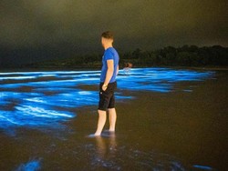 Wow! Plankton Bercahaya Membuat Pantai Irlandia Berkilauan