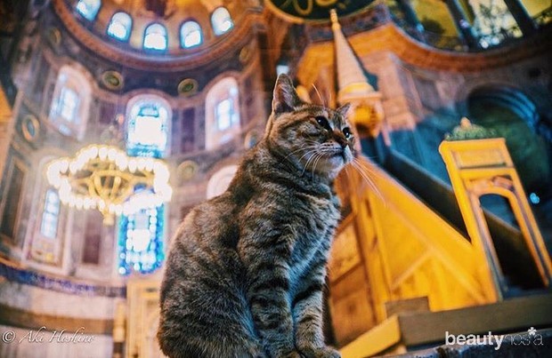 Punya Akun Instagram Sendiri