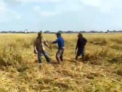 Pengacara di Sidrap Sulsel Babak Belur Dikeroyok di Sawah Sengketa