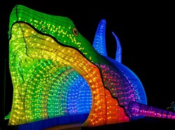 Kebun Binatang Gelar Festival Lentera, Ada Terowongan Hiu Sepanjang 20 Meter