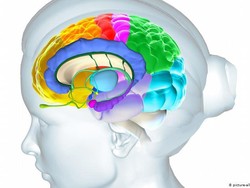 Ilmuwan: Riset Kehilangan Penciuman Bisa Bantu Pengobatan COVID-19