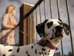 Kekerasan Finansial Kian Marak, Kenali Apa Itu dan Cara Menanganinya