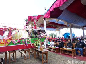 Tradisi Bulan Suro, Nelayan Lampon Banyuwangi Gelar Petik Laut