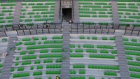Berbagai perbaikan terus dikerjakan di stadion tersebut seperti pemasangan sekitar 45.000 kursi tunggal dan pengelupasan rumput untuk diganti dengan rumput standar internasional.