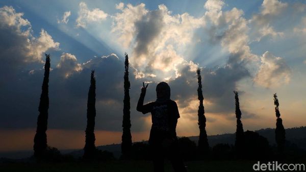 Yuk Bersantai dan Berkemah di Bukit Cemara Bandung