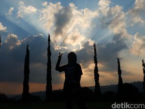 Yuk Bersantai dan Berkemah di Bukit Cemara Bandung