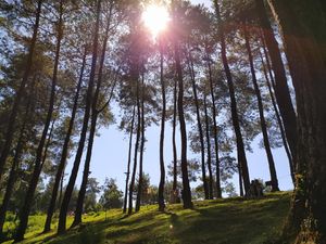 10 Tempat Wisata Ciamis, Banyak yang Baru Lho!