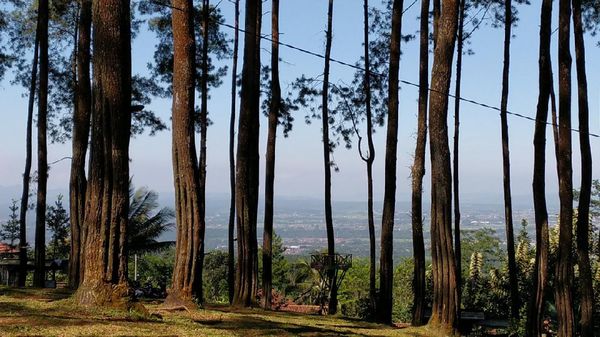 Potret Darmacaang Hill Ciamis yang Ciamik