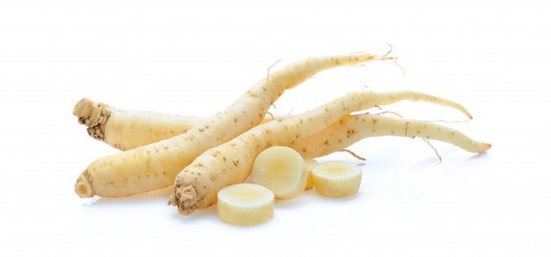 Ginseng/ Sumber: Freepik.com Ginseng dipercaya dapat memperbaiki gejala disfungsi ereksi. Sangat direkomendasikan untuk asupan penambah stamina pria.