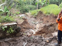 Irigasi Jebol, 200 Hektar Sawah di Sukabumi Terancam Gagal Panen