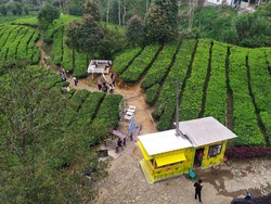 Wisata ke Kawasan Puncak Bogor? Ini 3 Lokasi yang Boleh Buka