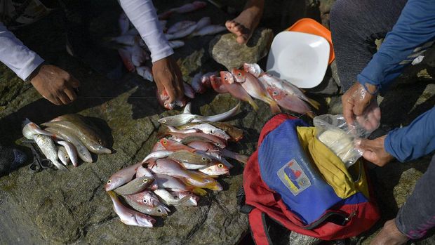 Cara Memancing Yang Baik Agar Dapat Banyak Ikan