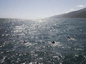 Berapa Banyak Lautan yang Ada di Dunia?