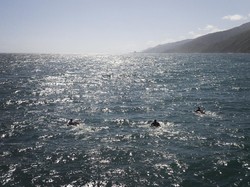 Berapa Banyak Lautan yang Ada di Dunia?