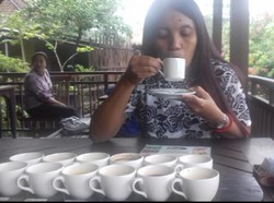 Menyeduh Kopi Luwak Berbalut Kabut di Tampaksiring, Bali