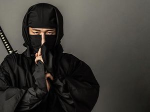 Museum Ninja Dirampok, Brankas Seberat 150 Kg dan Uang Dibawa Kabur