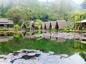 Sedep Pisan! Makan Bareng Keluarga di 5 Resto Konsep Alam di Lembang Sedep Pisan! Makan Bareng Keluarga di 5 Resto Konsep Alam di Lembang