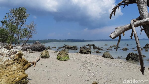 Traveler, Ujung Kulon Menantimu