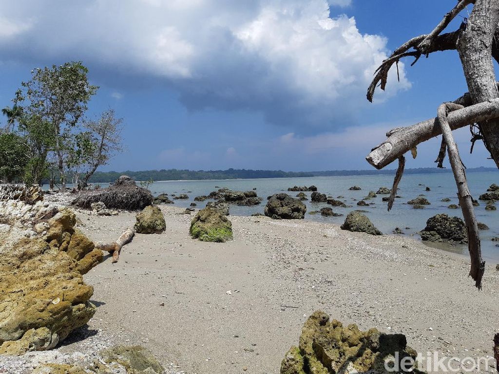 Traveler, Ujung Kulon Menantimu Traveler, Ujung Kulon Menantimu