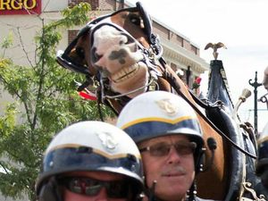 Potret Kelakukan Hewan yang Bikin Tertawa Ngakak