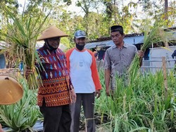 Kebun Cerdas Air, Salah Satu Metode Bertani di Lahan Kering