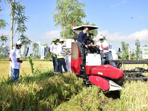 Panen Raya di Lombok Tengah, Mentan Beri Bantuan Pertanian Rp 120 M