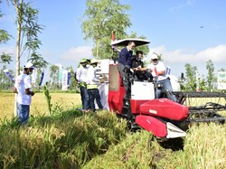 Panen Raya di Lombok Tengah, Mentan Beri Bantuan Pertanian Rp 120 M